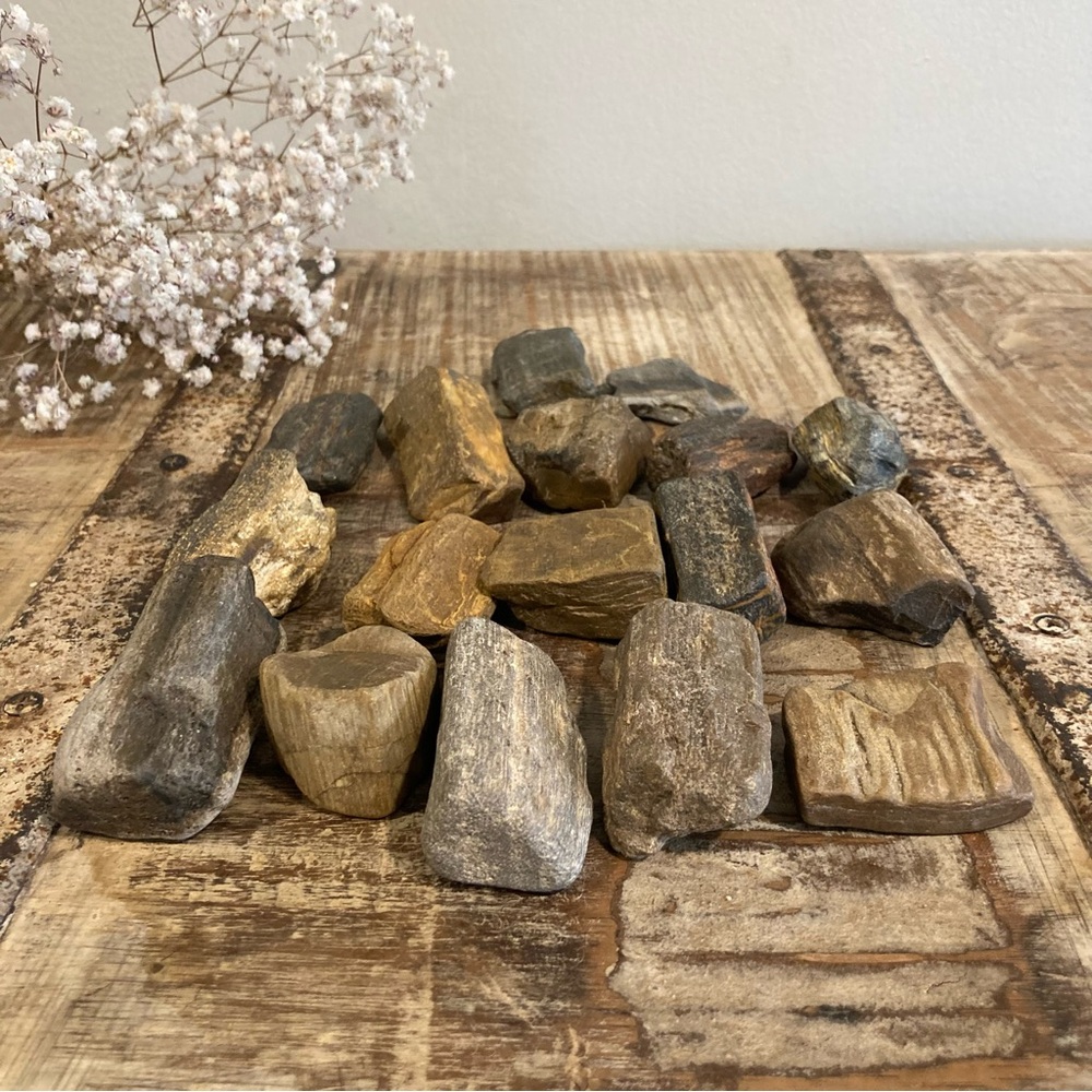 17pcs Petrified Wood 🪵 Rock Collection - Picture 10 of 17